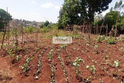 Residential Land in Thome - 4