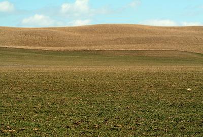 Land in Isinya