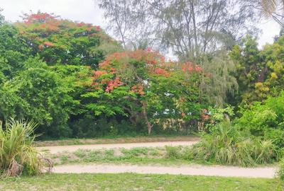 10 ac Land at Majengo - 4