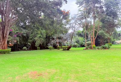 4.1 ac Land in Rosslyn