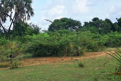 Land at Tiwi Near Diani South Coast - 2