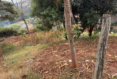 0.25 ac Land in Nyeri - 2