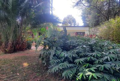 3 Bed House with Staff Quarters in Lavington - 4