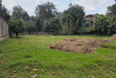 Land in Karen - 2