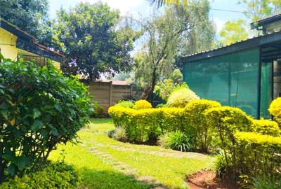 0.8 ac Commercial Property with Fibre Internet in Lavington - 3