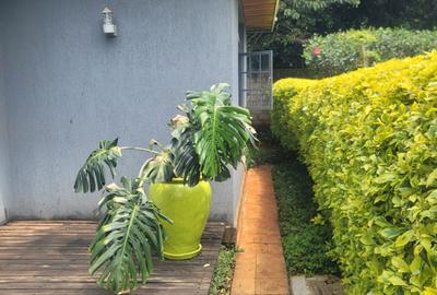 3 Bed Townhouse with En Suite at Ibis Crescent - 3