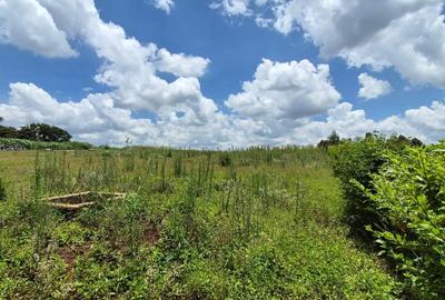 Residential Land in Runda - 4