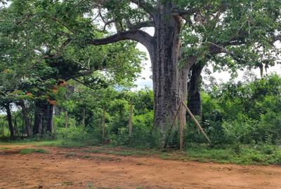 6 ac Land at Kilifi - 3