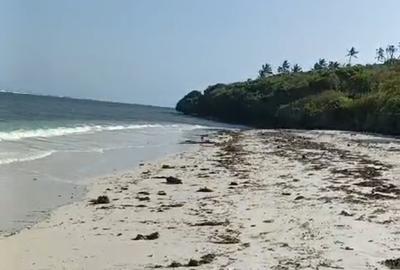 Land at Tiwi - 4