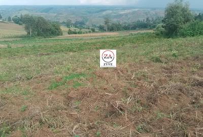 10 ac Land at Enabelbel - 3