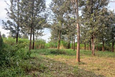 Land in Runda - 3