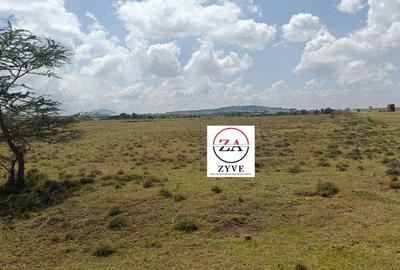3 ac Land at Mirera - 3
