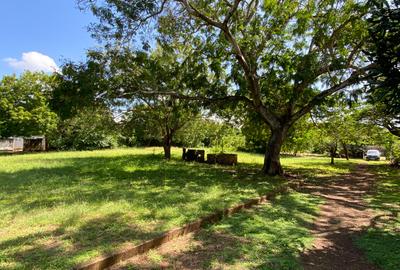 2 ac Land in Nyali Area - 3