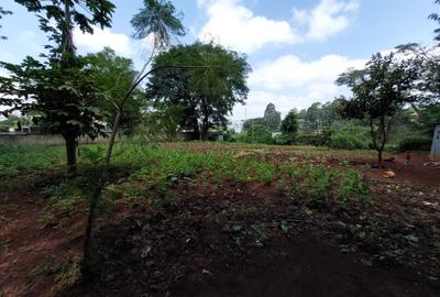 Residential Land at Kirawa Road - 2