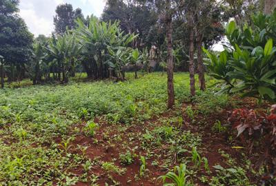 Land at Runda - 3