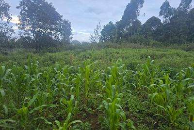 1 ac Land at Gicharani - 3