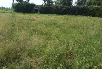 0.125 ac Residential Land in Ongata Rongai - 3