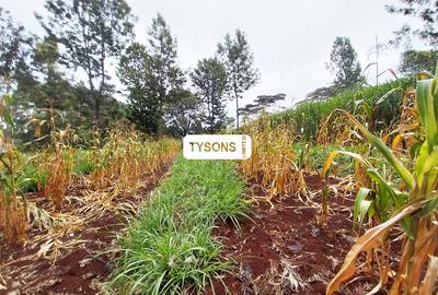 2.22 ac Land in Banana - 4