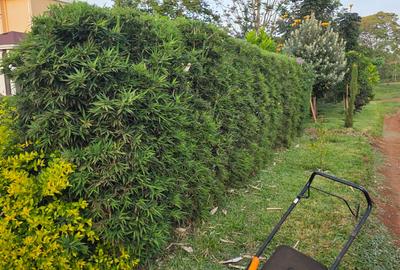 Residential Land in Kiambu Road - 4