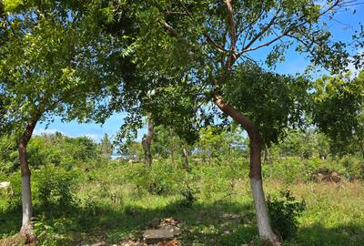7 ac Land at Kikambala - 2