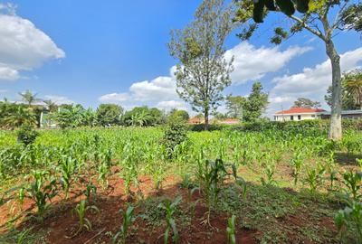 Residential Land in Runda