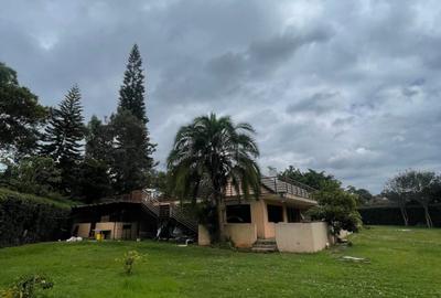 0.75 ac Commercial Property at Lavington
