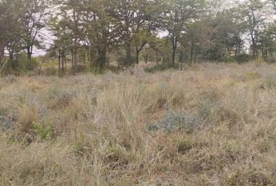 Land in Ongata Rongai - 4