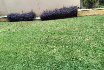 4 Bed Townhouse with En Suite in Lavington - 3