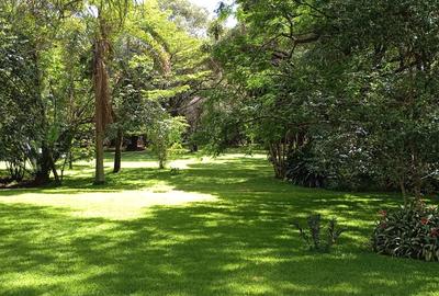 Land in Karen