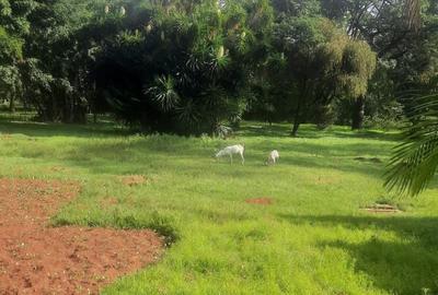 5 ac Land at Kabarnet Gardens