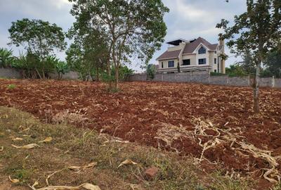 Residential Land in Ruiru - 4