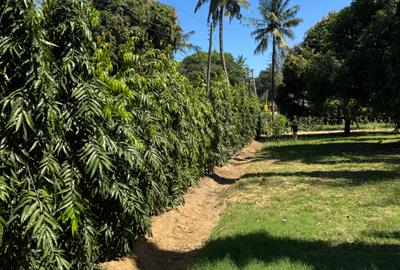 Land in Mtwapa - 4
