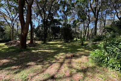 1 ac Land in Karen - 2
