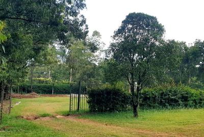 3 Bed House with En Suite at Windy - 4