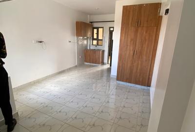 Studio Apartment with En Suite in Membley - 3