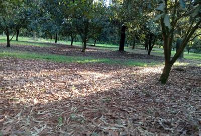 0.125 ac Residential Land at Juja Gatundu Road - 4