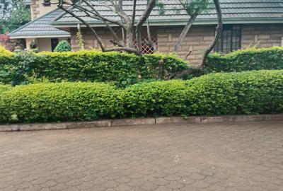 5 Bed Townhouse with En Suite in Lavington