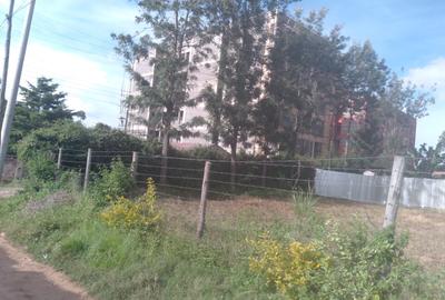 0.25 ac Commercial Land at Maasai Lodge Road - 4
