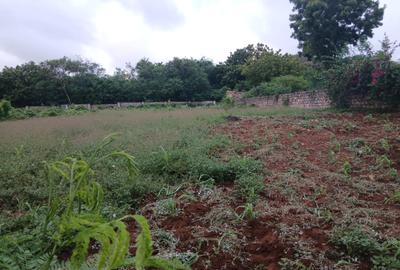 Land at Kikambala - 3