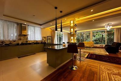 Furnished 2 Bed Apartment with En Suite in Gigiri - 4