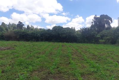 0.5 ac Land in Kikuyu Town