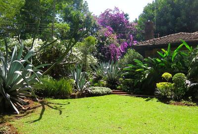 Land in Lavington - 3