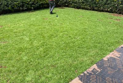 4 Bed House with En Suite in Kiambu Road - 2