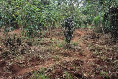 Commercial Property in Kiambu Road - 3