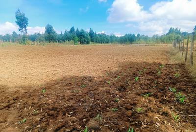 2,000 m² Residential Land at Thigio - 4