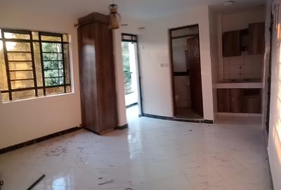 Studio Apartment in Ruaka