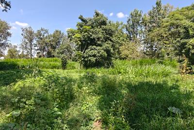 1.1 ac Land in Karen - 3