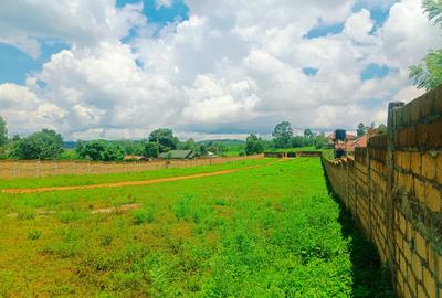 500 m² Residential Land at Ondiri - 4