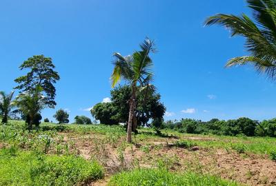 1 m² Land at Bomani - 4