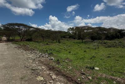 Land in Karen - 2